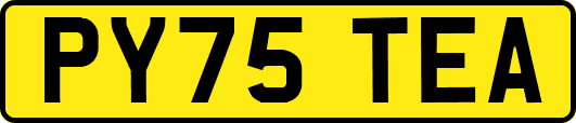 PY75TEA