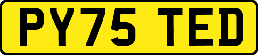 PY75TED