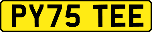 PY75TEE