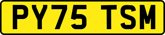 PY75TSM