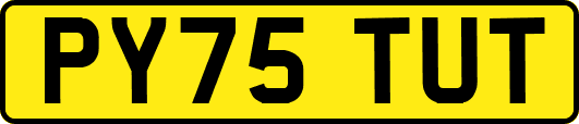 PY75TUT