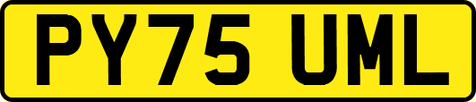 PY75UML