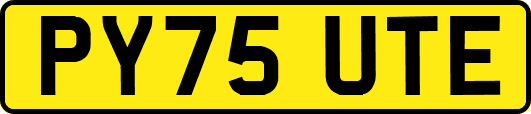 PY75UTE