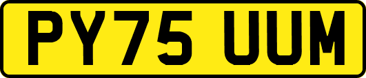 PY75UUM