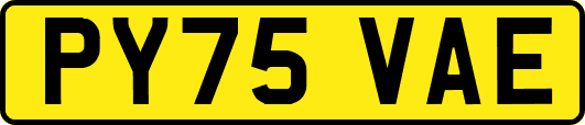 PY75VAE