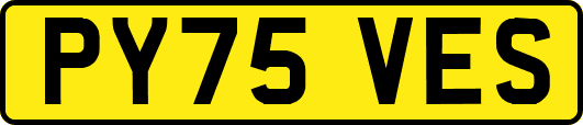 PY75VES
