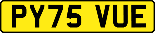 PY75VUE