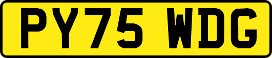 PY75WDG