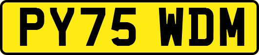 PY75WDM