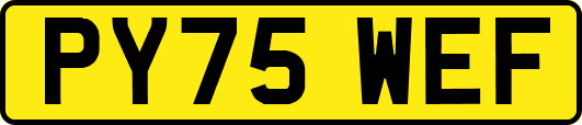 PY75WEF