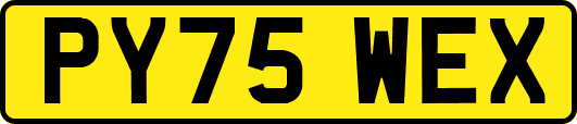 PY75WEX