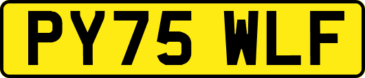 PY75WLF