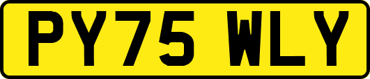 PY75WLY