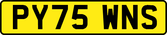 PY75WNS