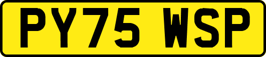 PY75WSP