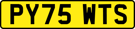 PY75WTS