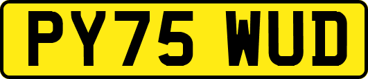 PY75WUD