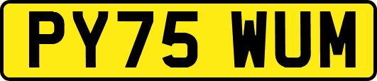 PY75WUM