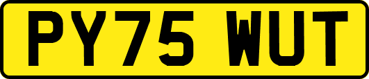 PY75WUT