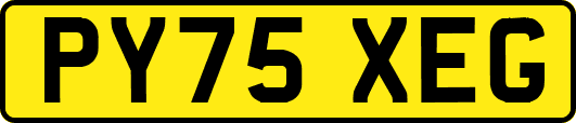 PY75XEG