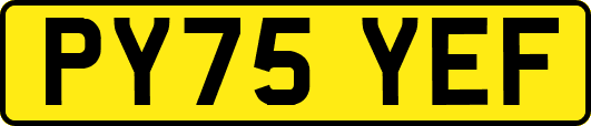PY75YEF