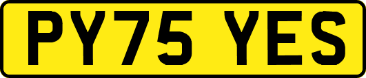 PY75YES