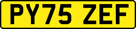 PY75ZEF