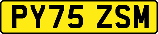 PY75ZSM