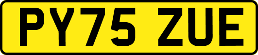PY75ZUE