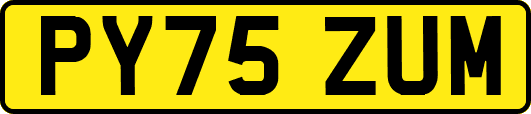 PY75ZUM