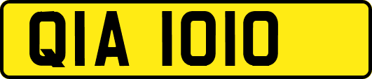 QIA1010