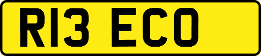 R13ECO