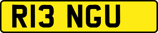 R13NGU