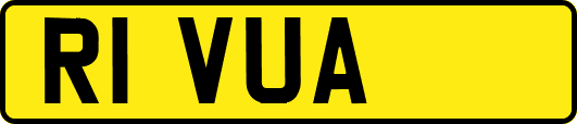 R1VUA