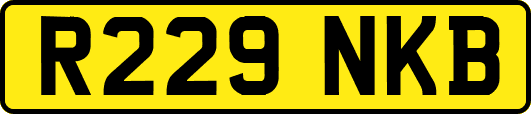 R229NKB