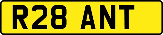 R28ANT