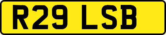 R29LSB