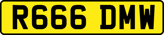 R666DMW