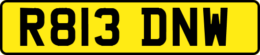 R813DNW