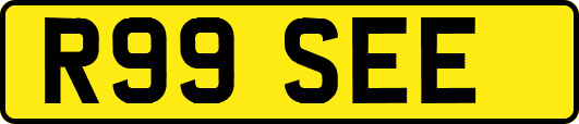 R99SEE
