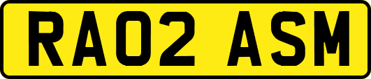 RA02ASM
