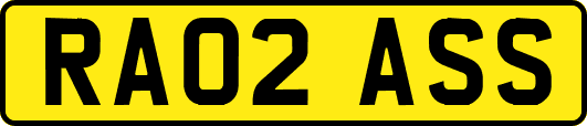 RA02ASS
