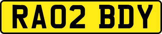 RA02BDY