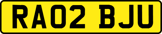 RA02BJU