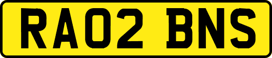 RA02BNS