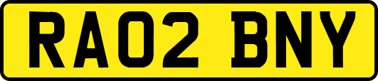 RA02BNY