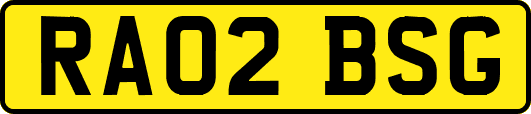 RA02BSG