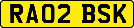 RA02BSK