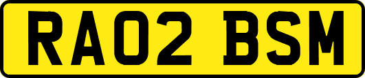 RA02BSM