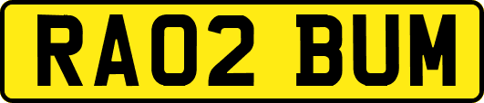 RA02BUM